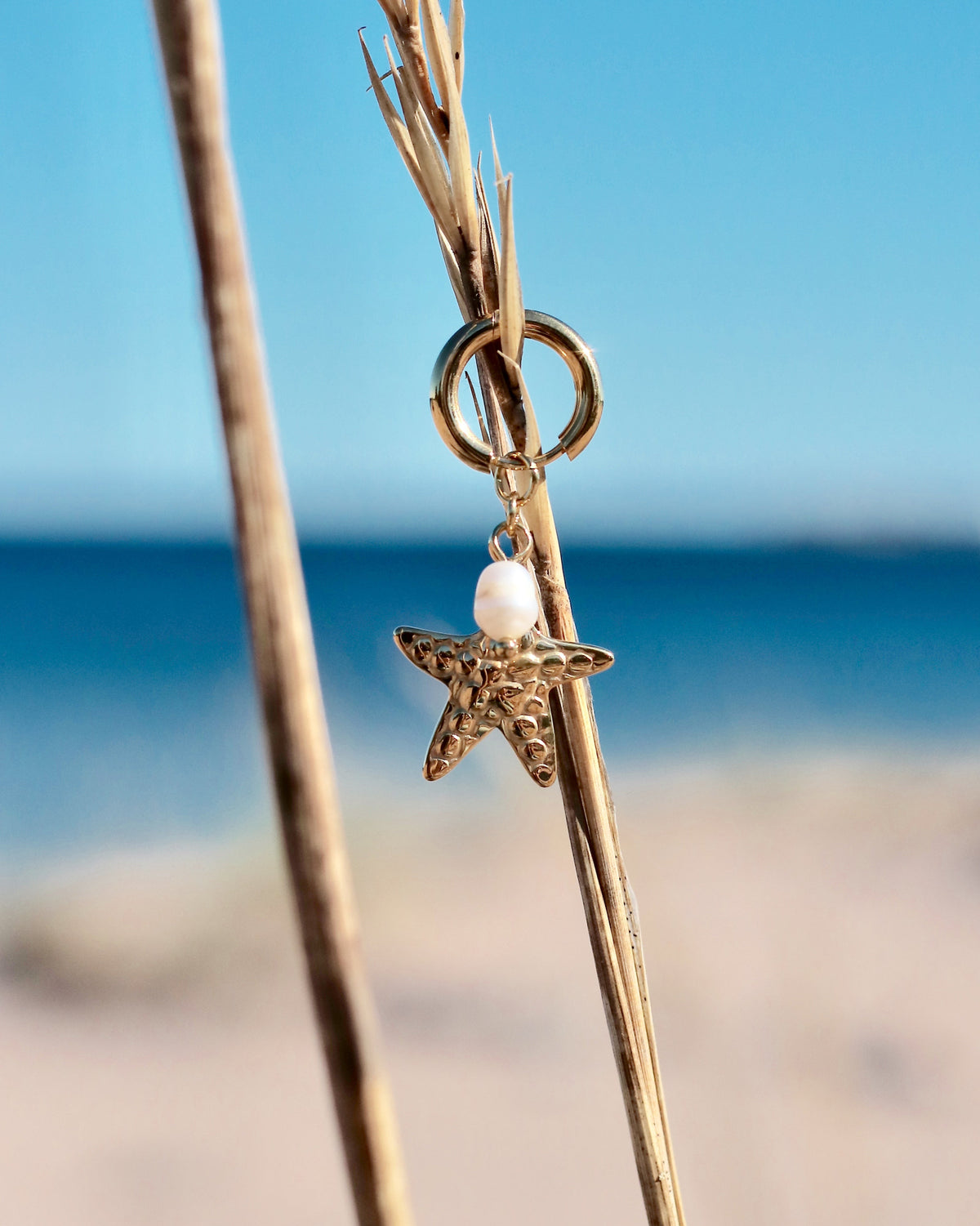 Gold-tone hoop earring with a starfish charm and freshwater pearl photographed by the sea in Hanko, Finland