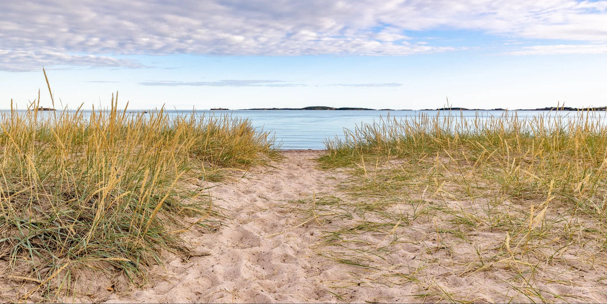 Path through coastal dunes in Hanko, Finland – inspiration behind the HNKO Vihora Collection